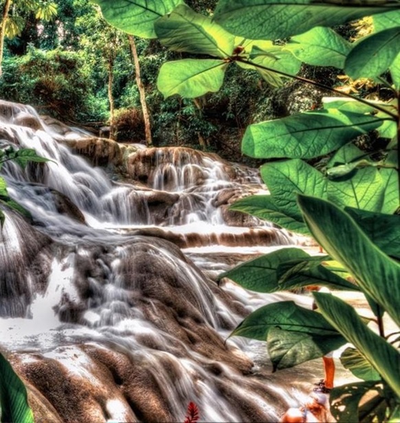 palladium_hotel_group_montego_bay_cataratas_rio_dunn dunn's river falls